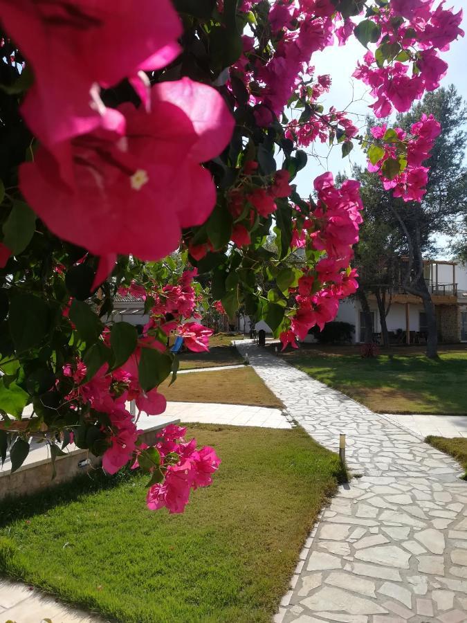 Marzi Beach And Bungalows Hotel Kokkonion Exterior photo