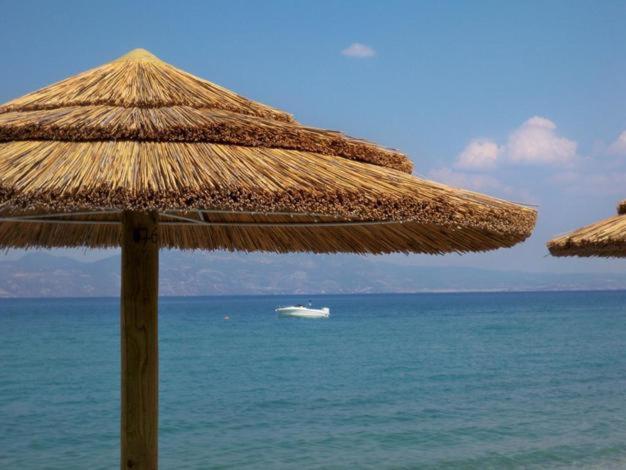 Marzi Beach And Bungalows Hotel Kokkonion Exterior photo